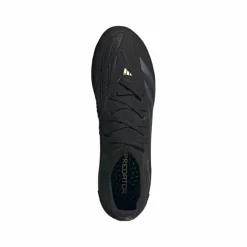 Adidas Predator Pro FG voetbalschoenen heren core black carbon gold metallic
