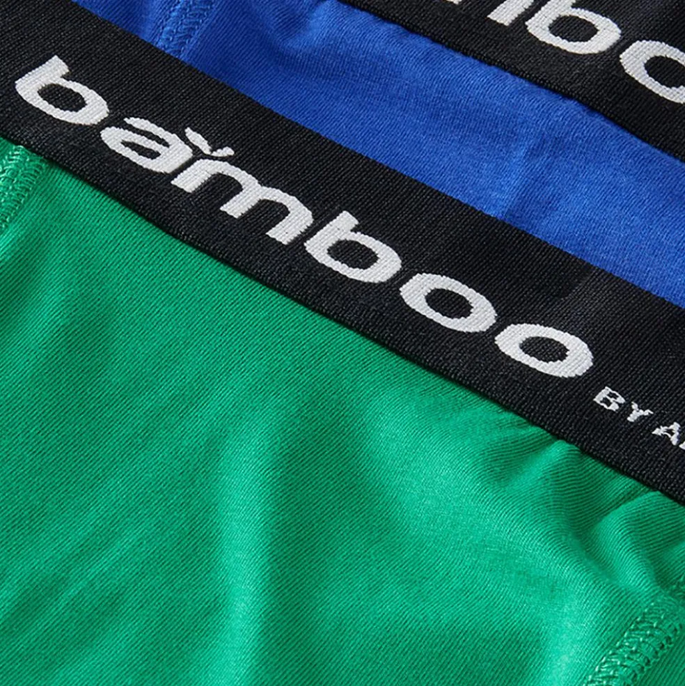 Apollo Bamboo Basic onderbroek heren blue green 2-pack