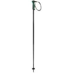 Head Frontside skistokken black green
