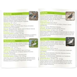 Moses. Verlag  Expeditie Natuur Onze Vogels diashow